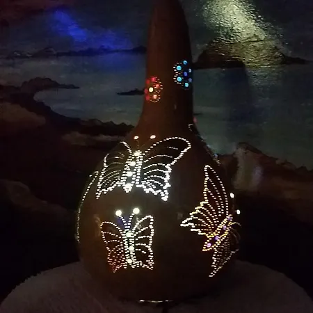 Foca Palas Pension Gæstehus *