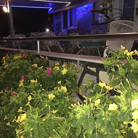 ゲストハウス Foca Palas Pension