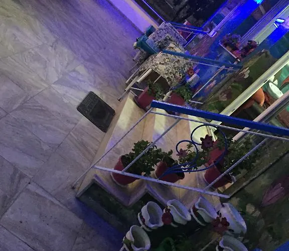 Penzion Foca Palas Pension *